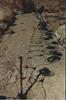 Thumbnail of Photo Number 36